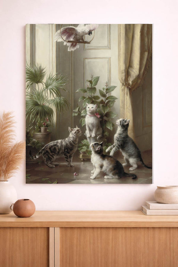 Cats