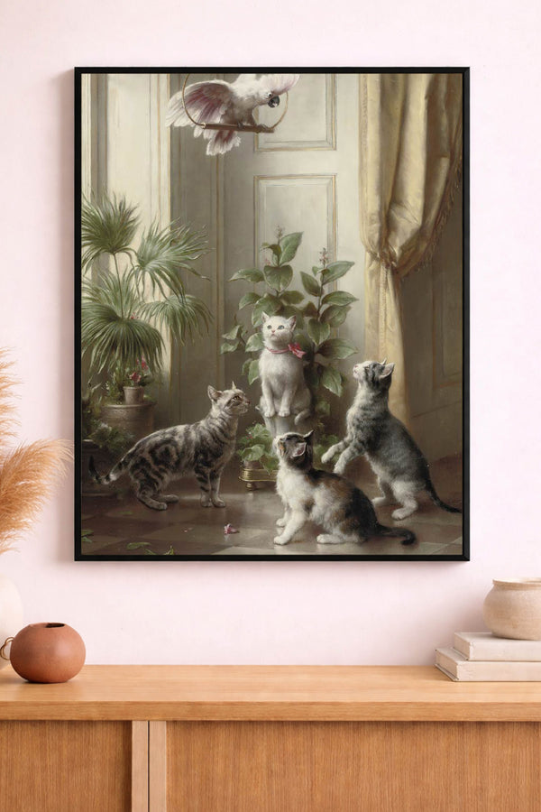Cats