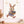 Bunny 1