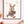 Bunny 1