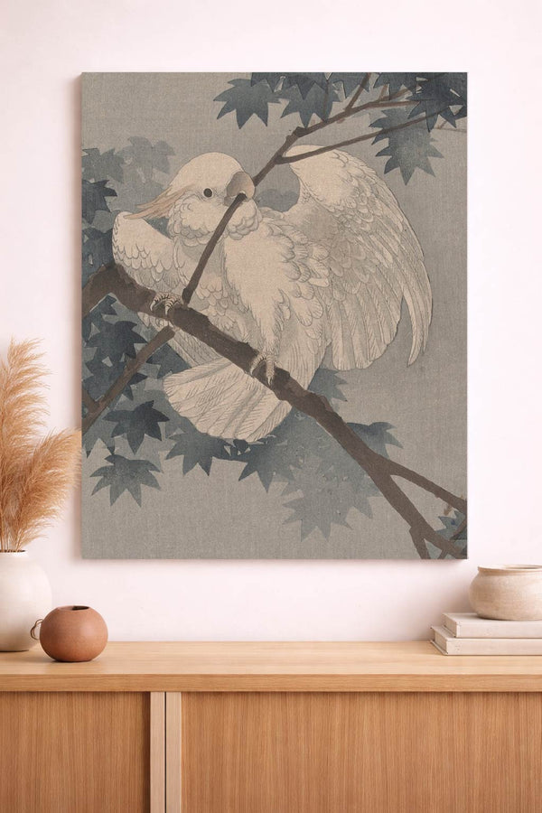 Parrot