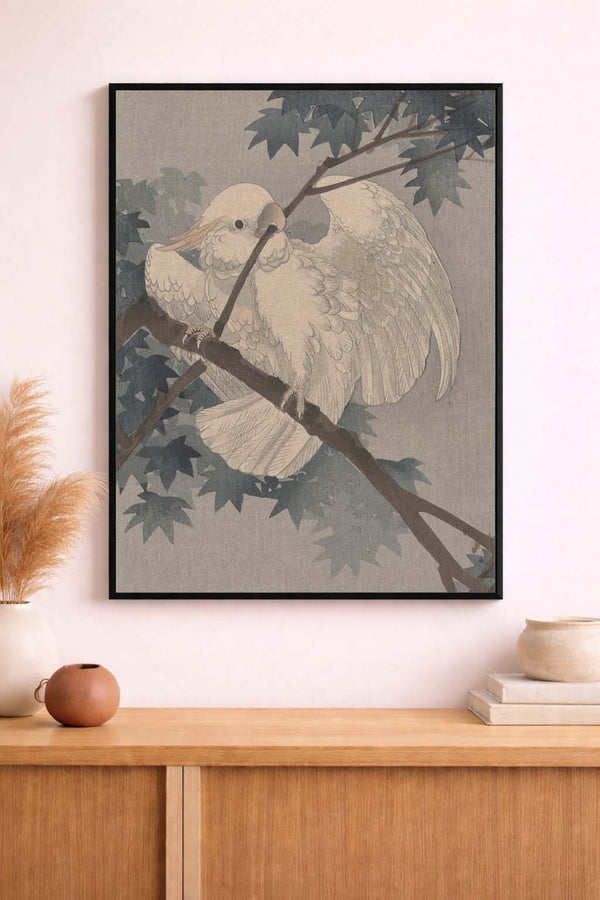 Parrot