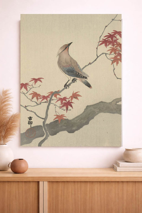 Waxwing