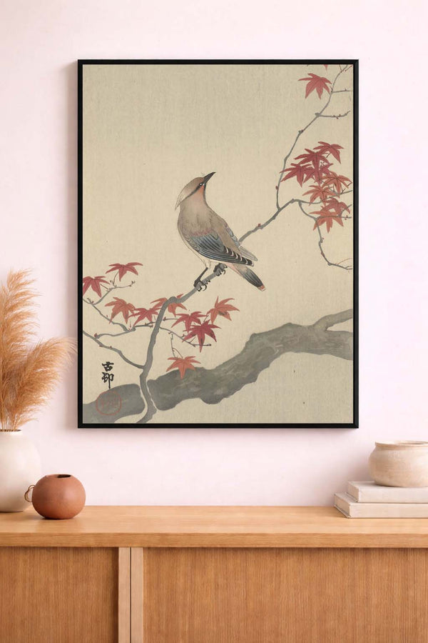 Waxwing