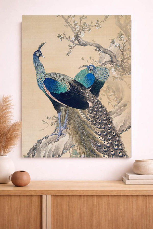 Peacock