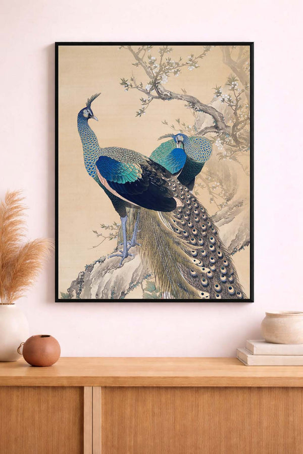 Peacock