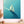 Sail