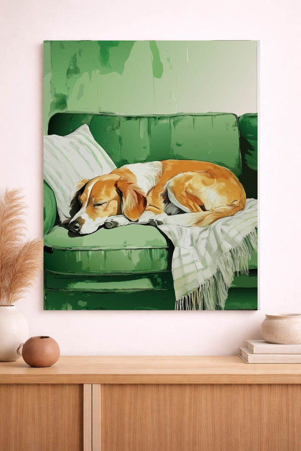 Nap After Walk