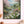 Blossom Valley