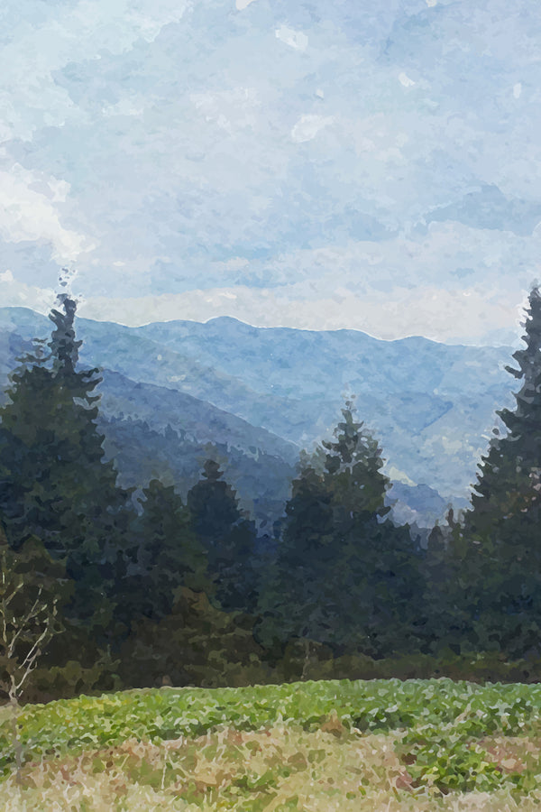 Misty Mountain Landscape Poster